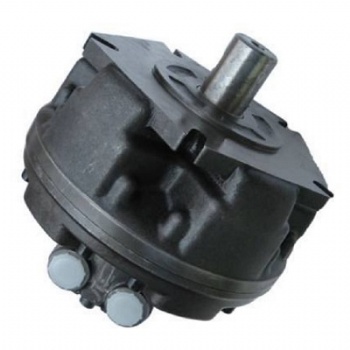 GM1 Internal Five Star Hydraulic Motor